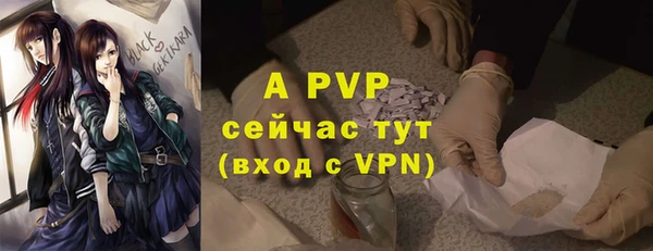 индика Алексеевка