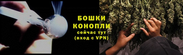 apvp Семёнов