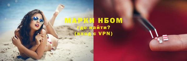 индика Алексеевка